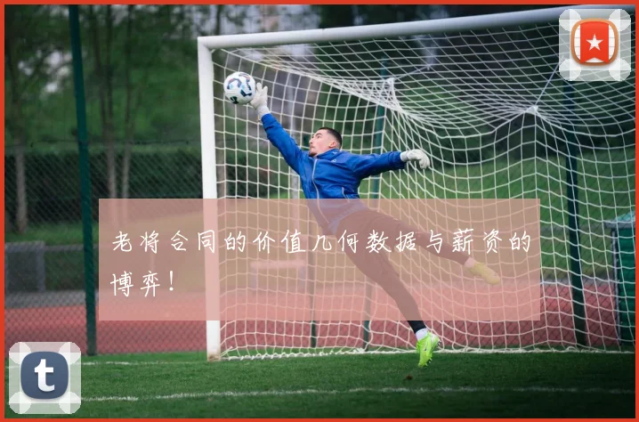 老将合同的价值几何数据与薪资的博弈！