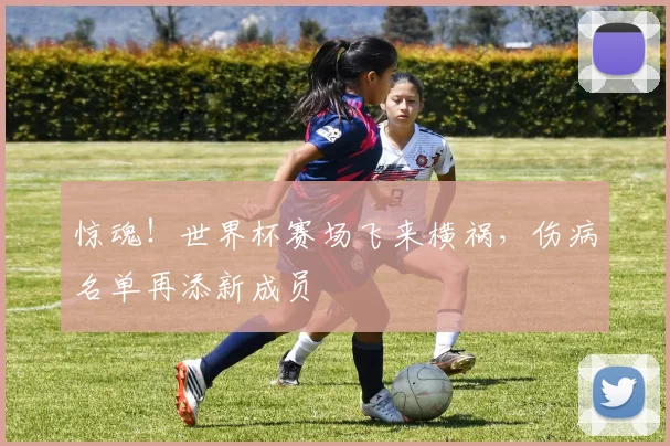 惊魂！世界杯赛场飞来横祸，伤病名单再添新成员