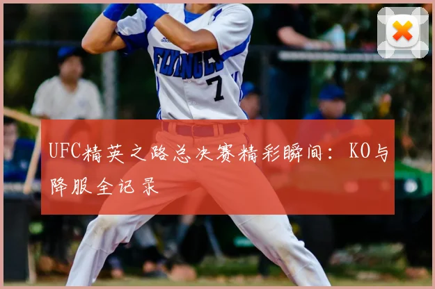 UFC精英之路总决赛精彩瞬间:KO与降服全记录