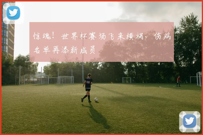惊魂！世界杯赛场飞来横祸，伤病名单再添新成员