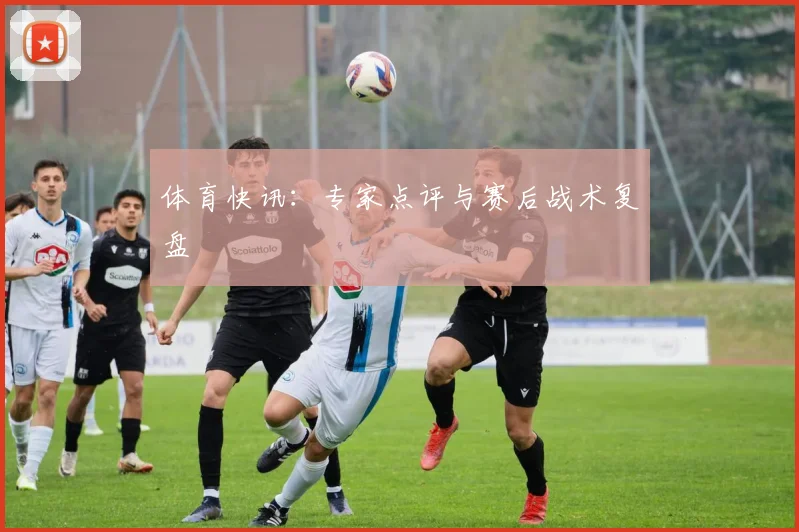 体育快讯：专家点评与赛后战术复盘