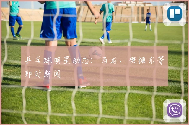 乒乓球明星动态：马龙、樊振东等即时新闻
