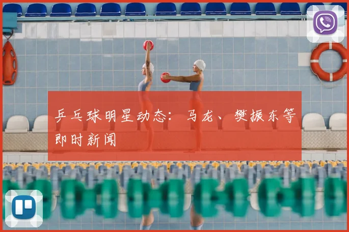 乒乓球明星动态：马龙、樊振东等即时新闻